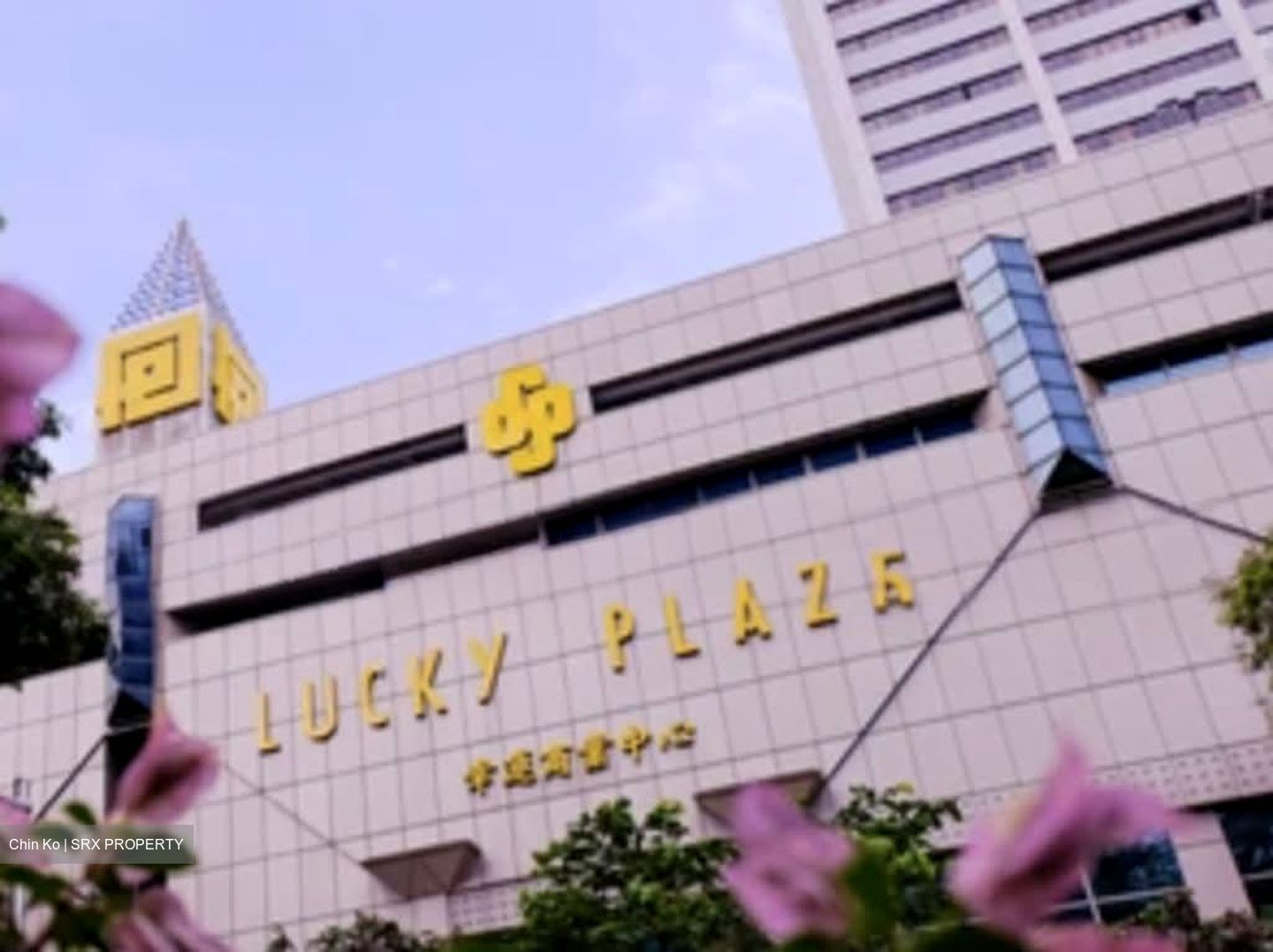 Lucky Plaza (D9), Shop House #572564131